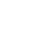 Money Bag